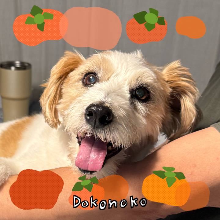 Afd570a0 b44b 4fa4 aa73 f9e31fec7990 1761139004756