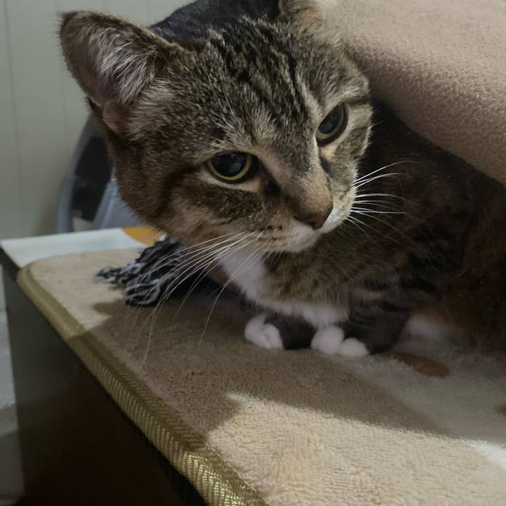 Afd5839b da36 4a9e 8f94 d60408374d91 1737557449065