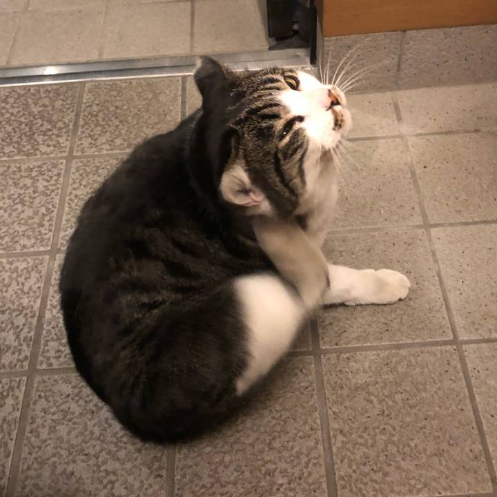 Afd59e15 4f49 4820 9a77 4c88ec30a36f 1513862670018