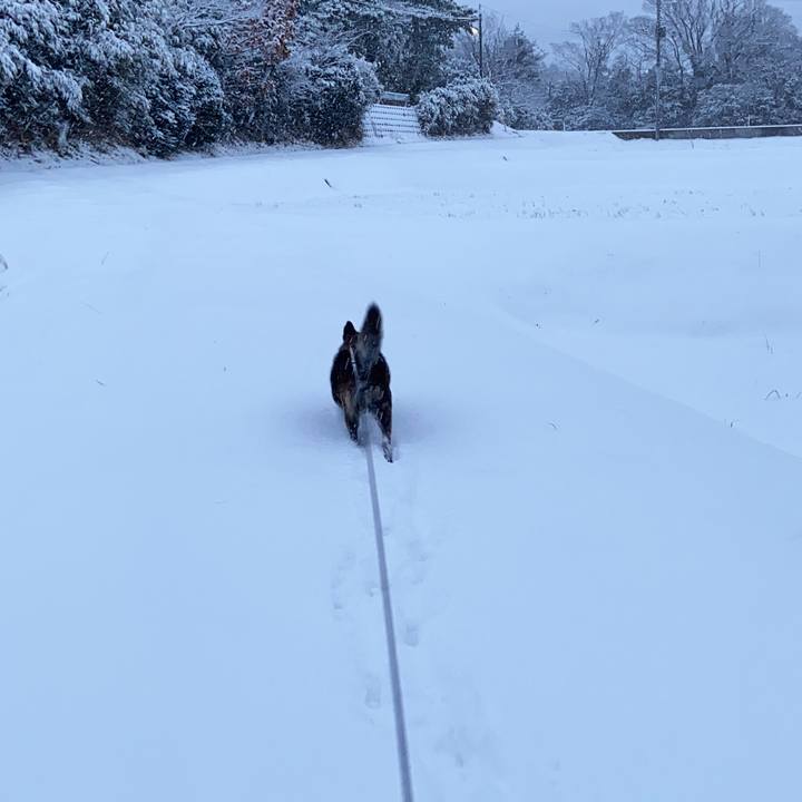 Afd5ab71 9829 4645 9978 88442760df97 1610108257042