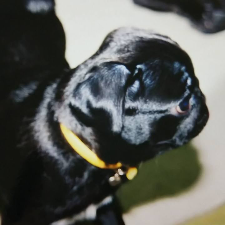 Afd5adcb f418 4596 b187 86e10313d01c 1581523558338