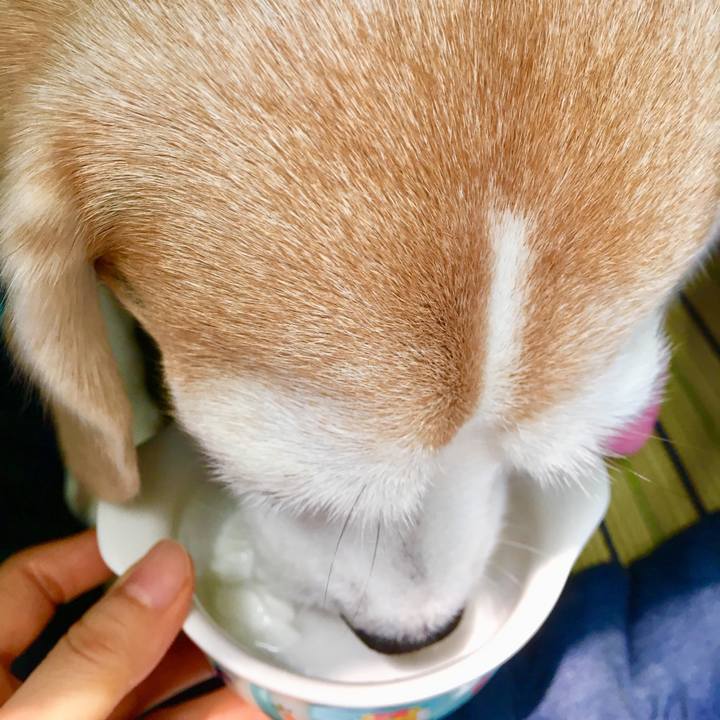 Afd630c8 1354 4665 a0b9 dceda4be8820 1564802829310