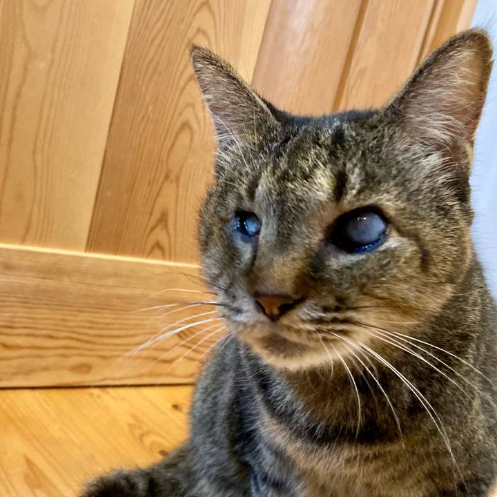 Afd63223 d04f 4b58 b167 0d3319bc6494 1665105235568