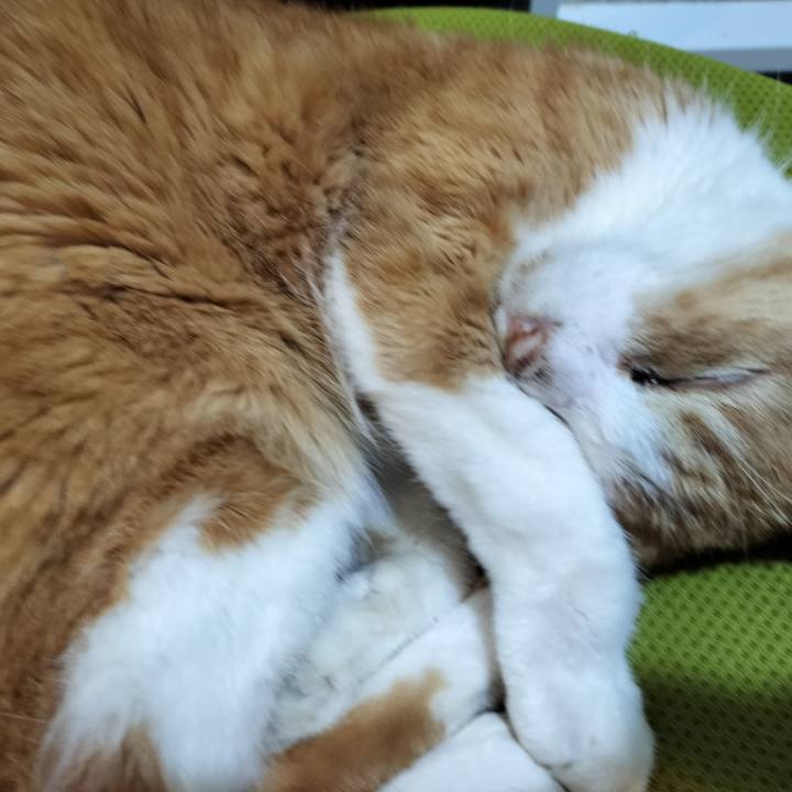 Afd63d6e d50e 496f 8b5e dbafbe87ae73 1764164927495