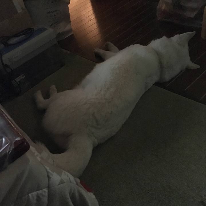 Afd6768b cc7d 467f b0c5 4869ae2830cc 1525712429368