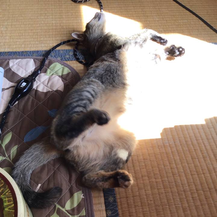 Afd67c3e 6683 4dae ad54 5f82e6340365 1587521137865