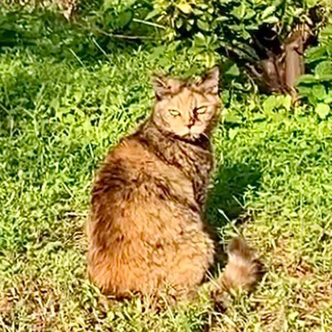 Afd68f22 2b34 45a6 99a7 a2894c78133a 1731295474954