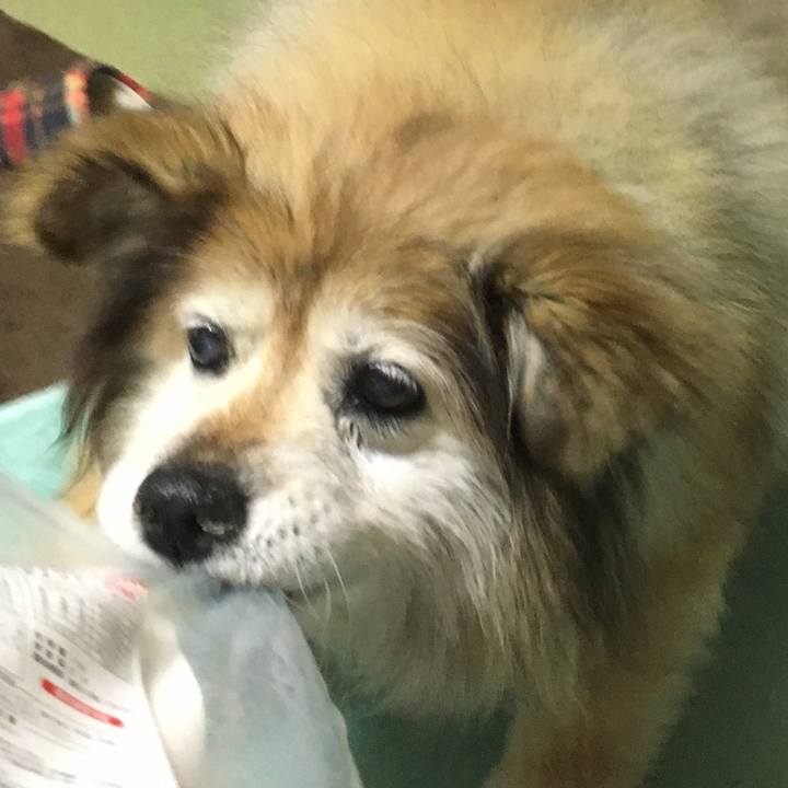 Afd68f91 066b 4ba8 8560 ace0a97a53e6 1588724977883