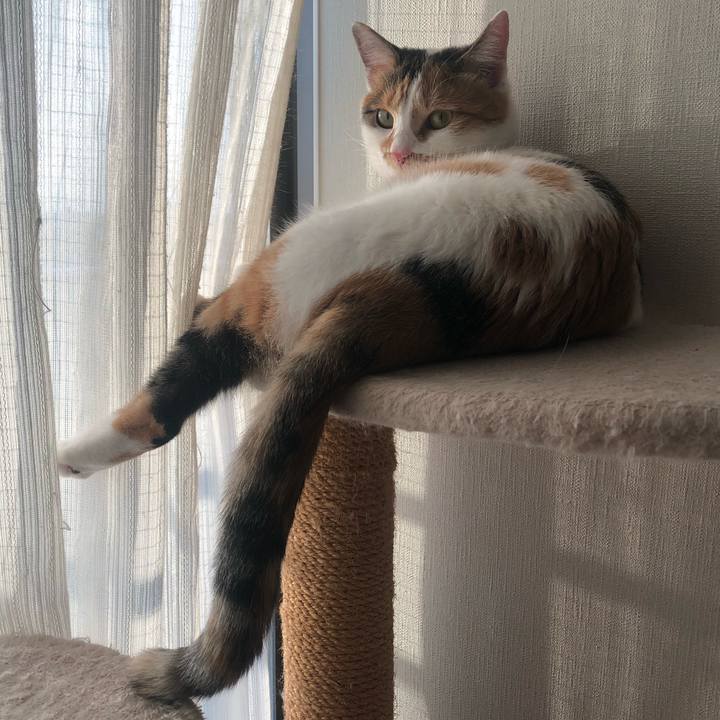 Afd6d49d 4560 4b5e b988 330ac1d2622e 1604132114725