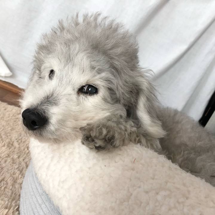 Afd6febd a7ba 4be9 a318 1779d43ee639 1586933424734