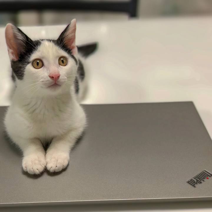 Afd73fdd d4a1 4a9b 8f53 5997511c812d 1529895423896