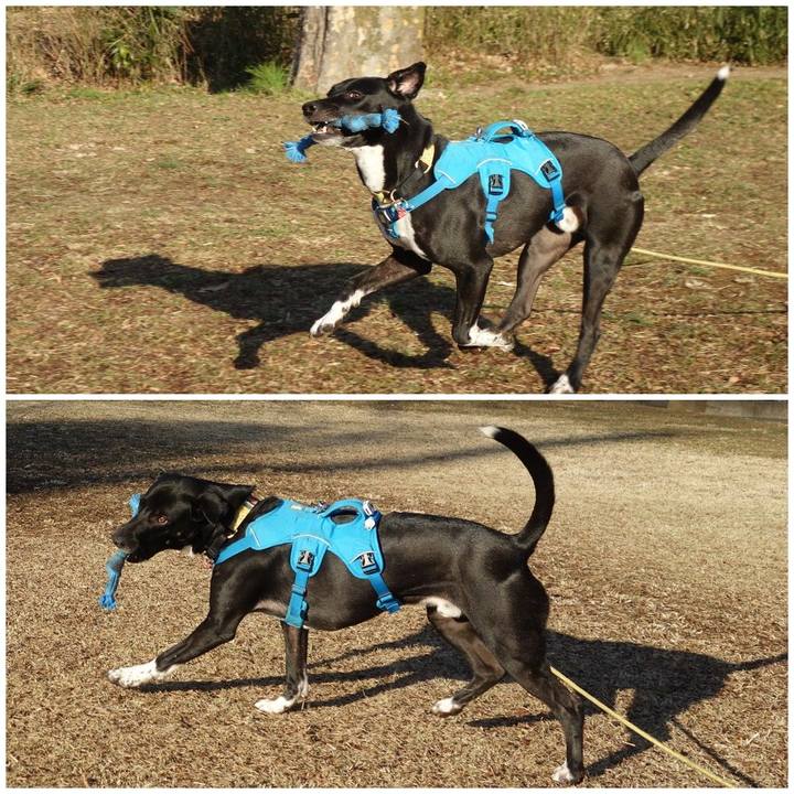 Afd77405 67b9 4886 b98f c515916b6536 1613868141285