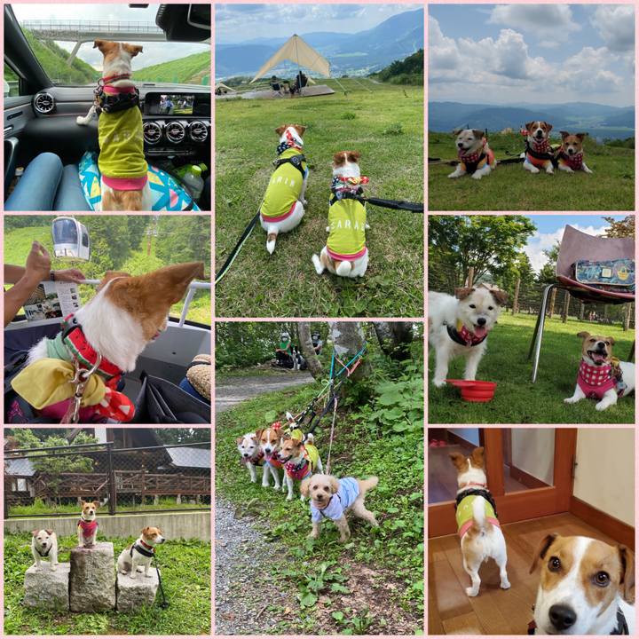 Afd77435 a01d 491d 9203 2f2c78e66da4 1628692624138