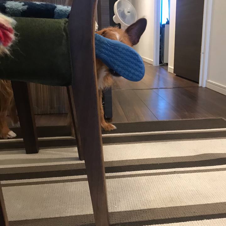 Afd782d8 94a7 4868 a45d 0c9d00ea7a46 1565913242568