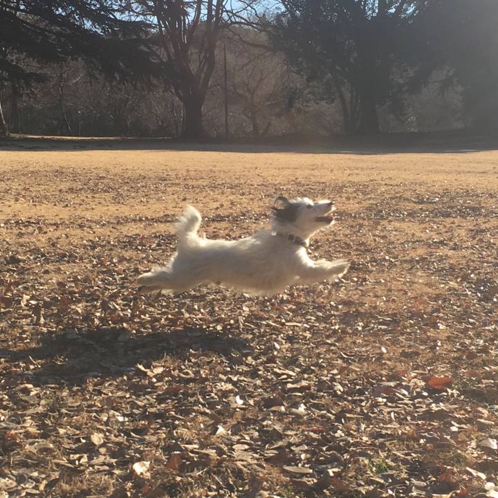 Afd79dd5 b381 4e44 aeba d8ed056214a5 1515967818548