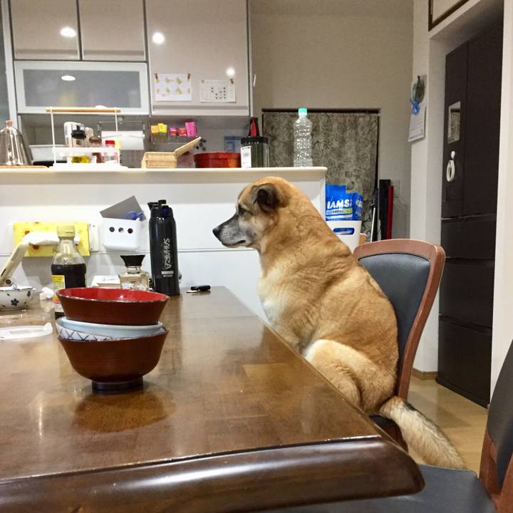 Afd7a35f 1083 4e0e 89f2 a632f70156d9 1536755094919