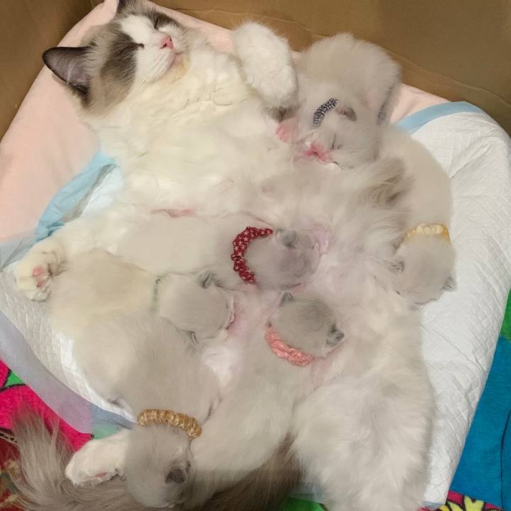 Afd7c97a 3d9c 443f bff1 eafff9ab9365 1639053521162