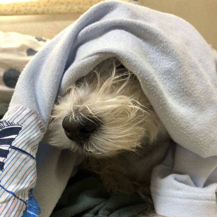 Afd7f812 eb74 487d b213 da81f6e9eff2 1540266045541