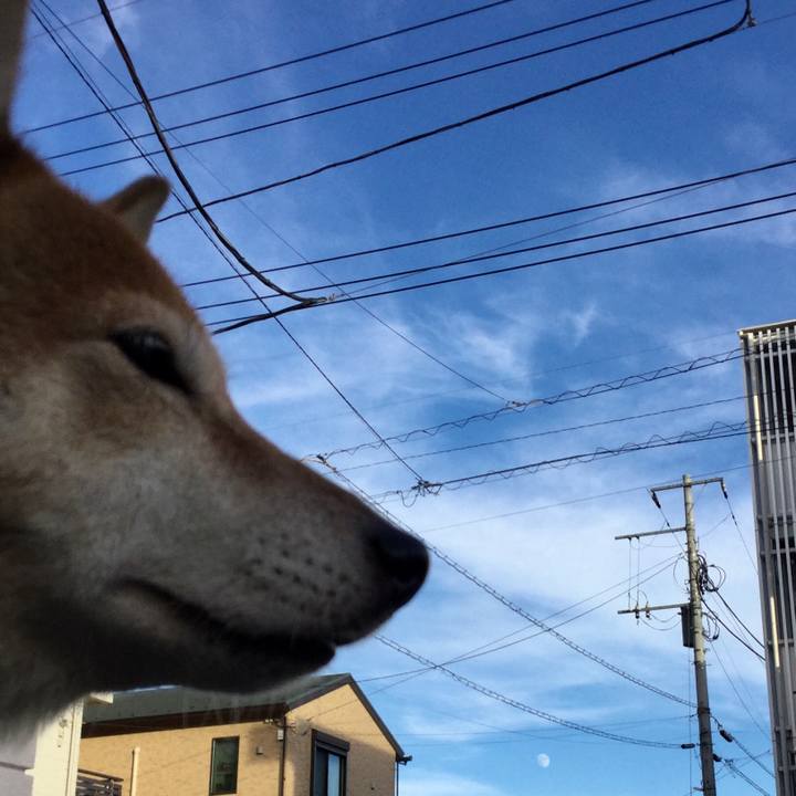 Afd83a15 a50e 4b33 bfcb 99579daaa211 1629362785891