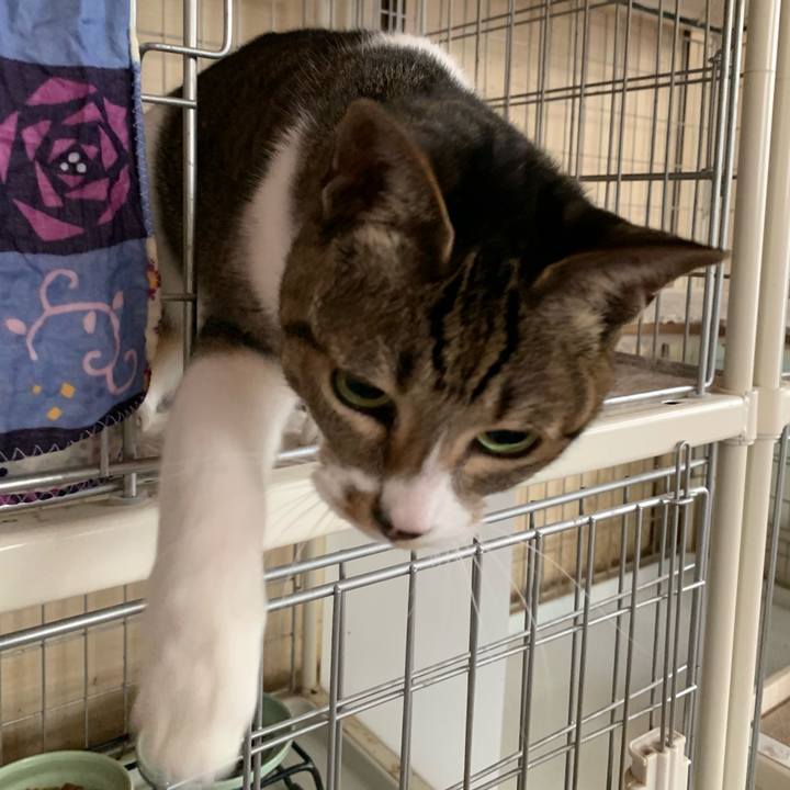 Afd87da0 ce1b 41e7 932e 554e80a43ee9 1549502494685