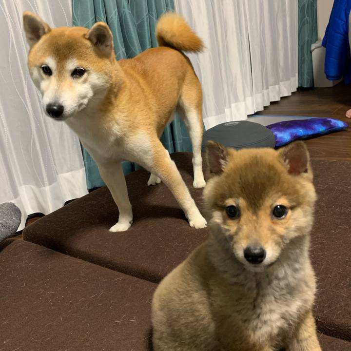 Afd8abec b87a 4d9f 9b44 fd6f8910212f 1616586302824