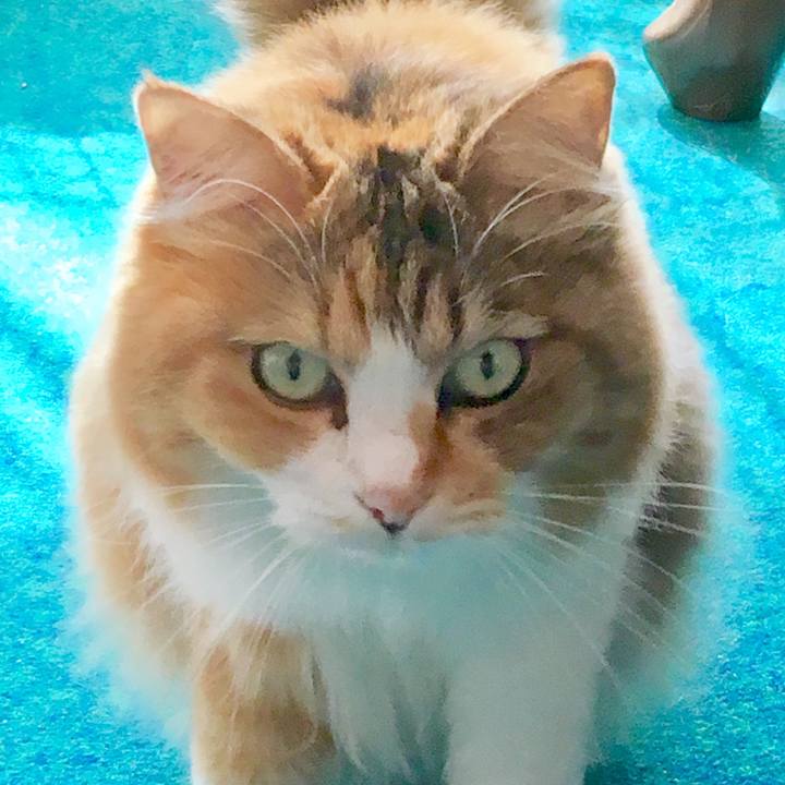 Afd8b140 0a67 498a 8033 d59e45010d9a 1570184028908