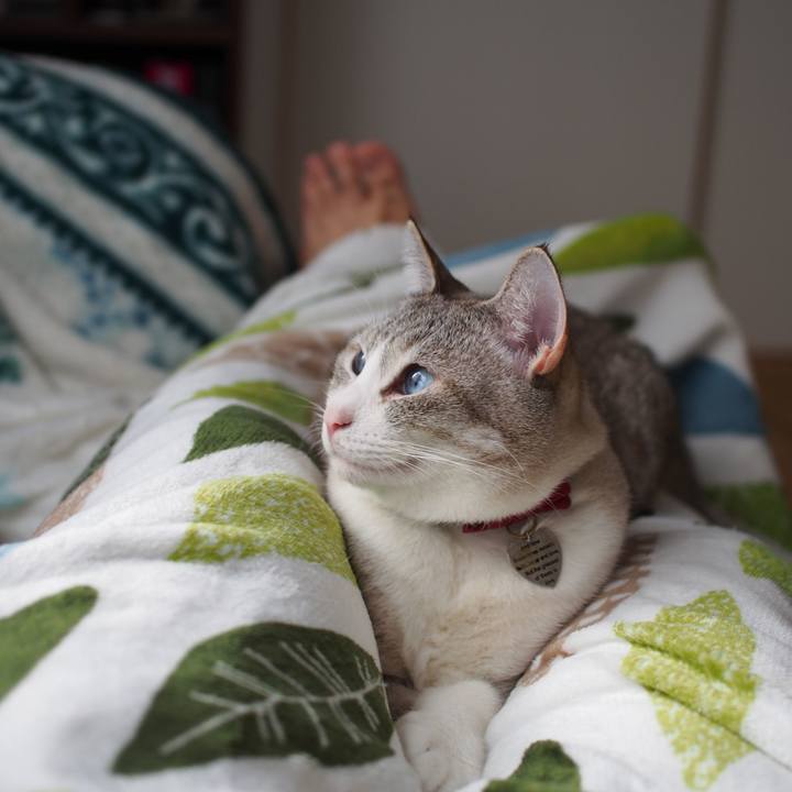 Afd8c3b8 ba57 434e b81a 23608aa5bb1a 1580859431543