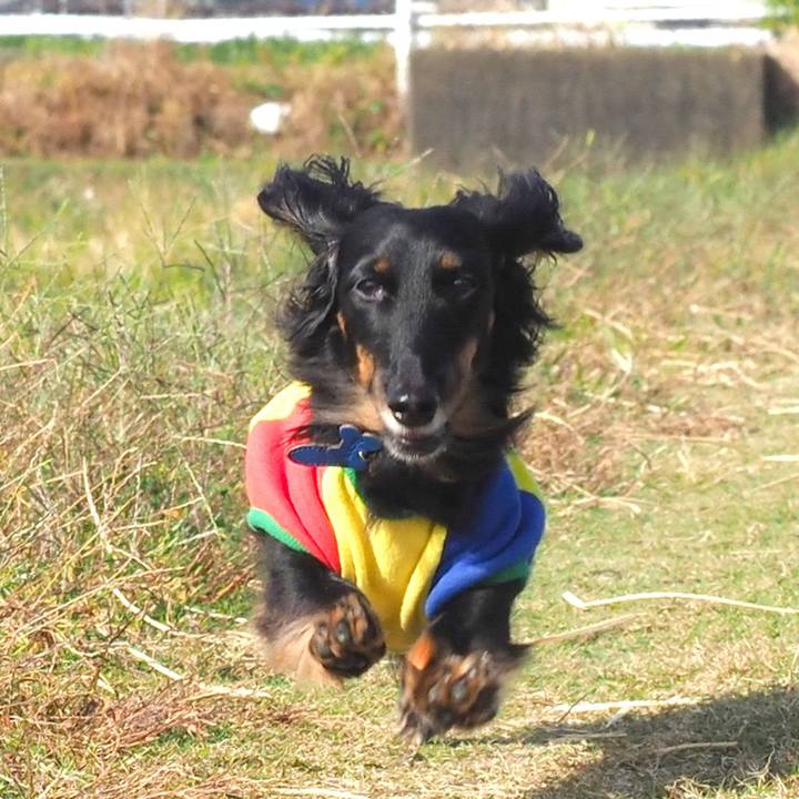 Afd8f5e6 4e9b 4553 acad ea2b7370d239 1635055909299