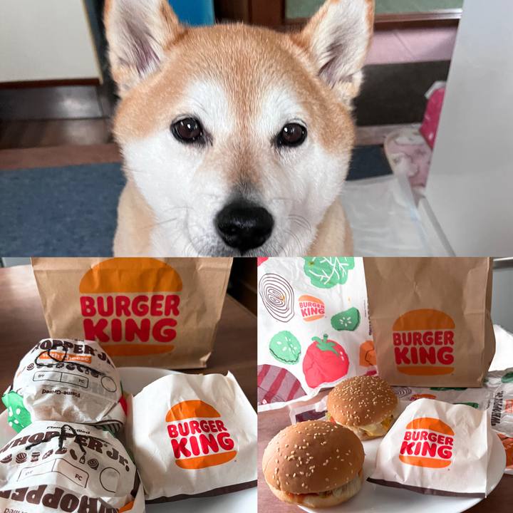 Afd906ad b3be 441f 8a8b 845ca10e4ade 1713430821355