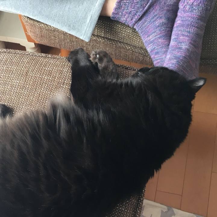 Afd910f1 6766 43ca aa12 63c0f6a517b5 1517046630091