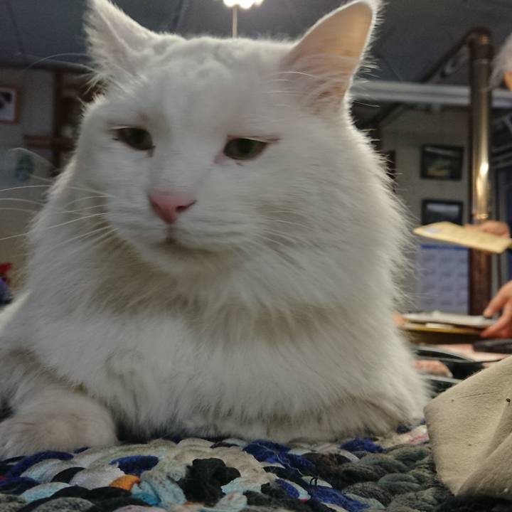 Afd96c9c c14c 44ba 9c87 4b445d7c8c5b 1548109528161