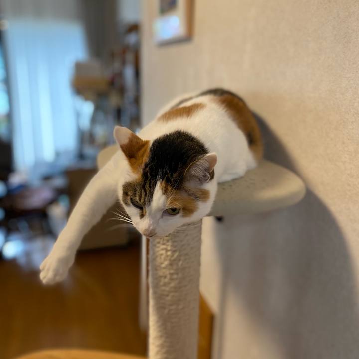 Afd9b2b1 5187 4ffe 8427 473afa8da13c 1763592891468