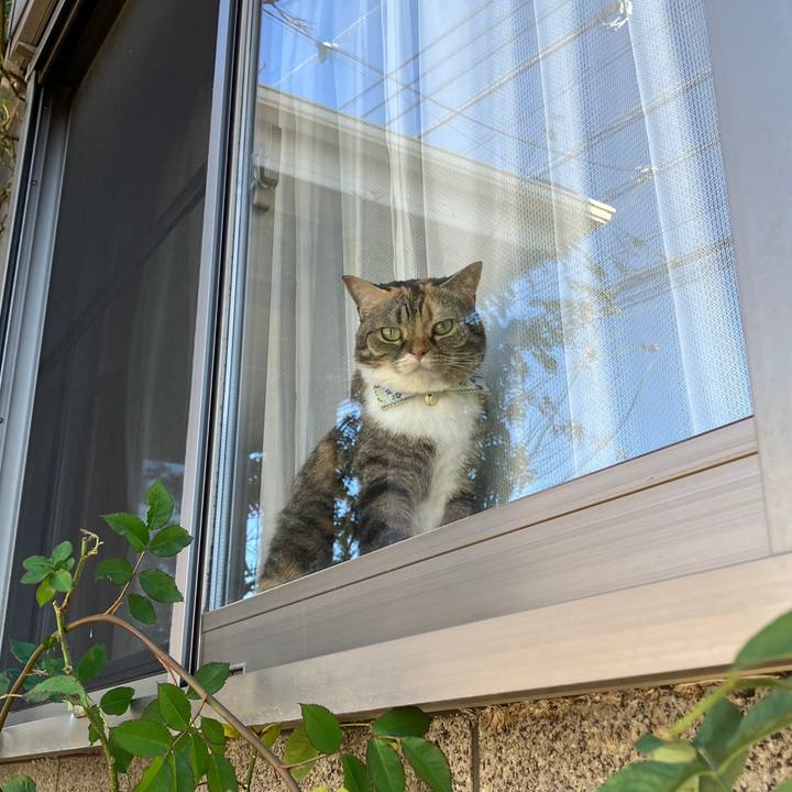 Afd9c64d ee89 4513 a946 6b2a025f4a00 1764816917743