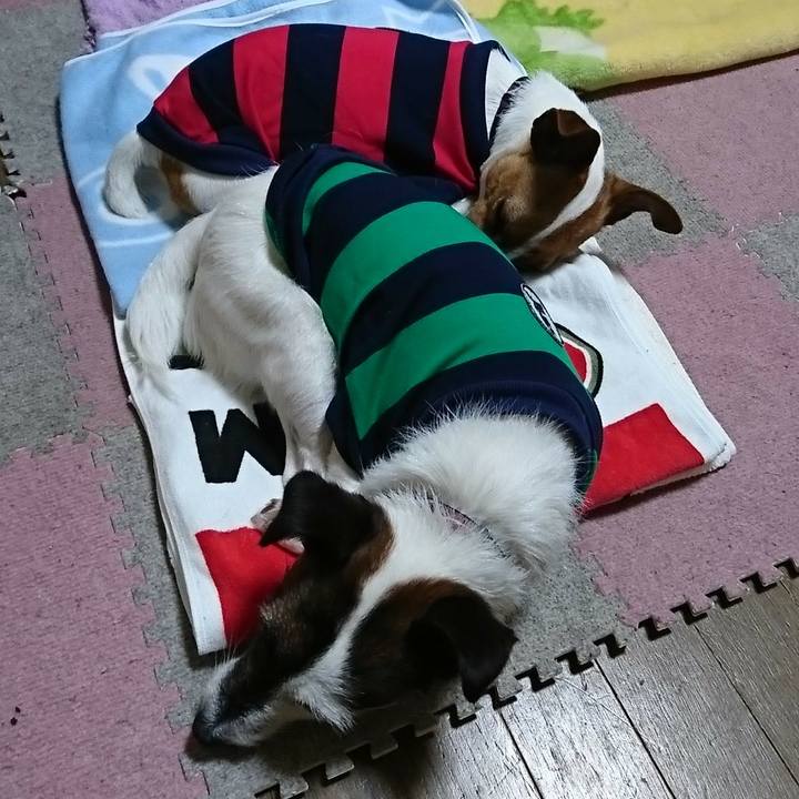 Afd9e304 f38d 4ee4 b3cd d16ba452f8d6 1527066040463