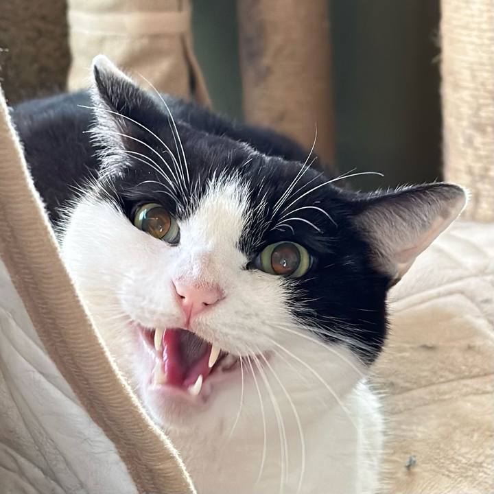 Afda07c4 47c5 4cf9 b2e4 052f3a703885 1675130306510