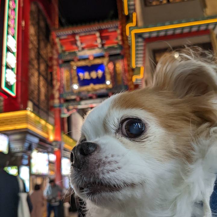 Afda0e02 0cf2 4e9f ab9a 153b59a100b0 1648206706278