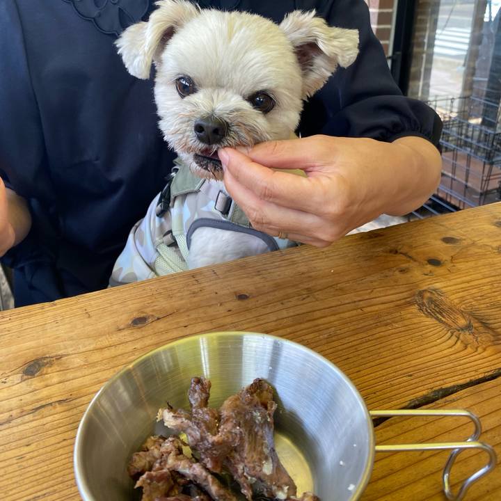 Afda36f5 878c 4091 a783 5ad9abd64424 1683091491500