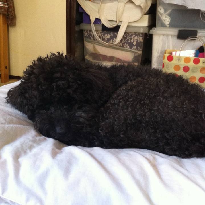 Afda43f0 0948 4411 8710 861e5960b556 1767106166980