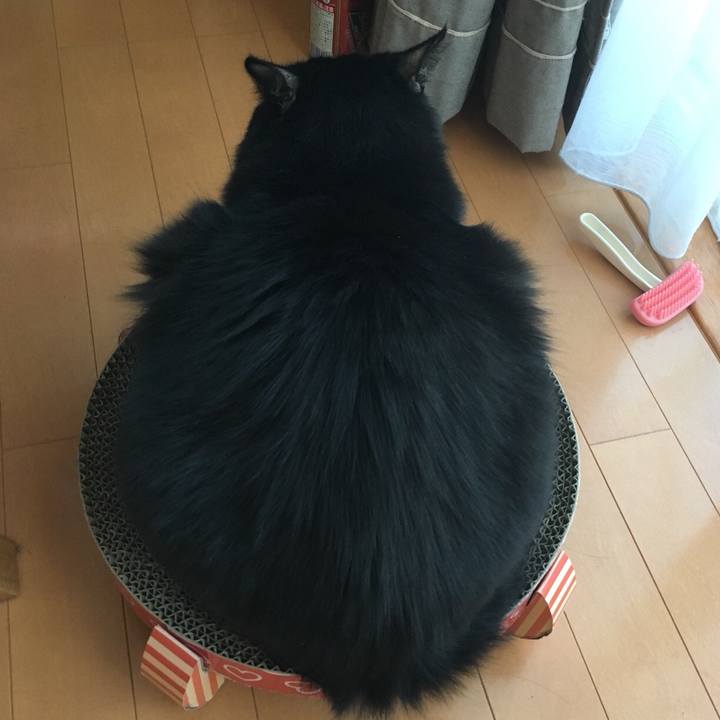 Afda5e58 423b 430e 9e80 0ae58fd5b299 1538708488519