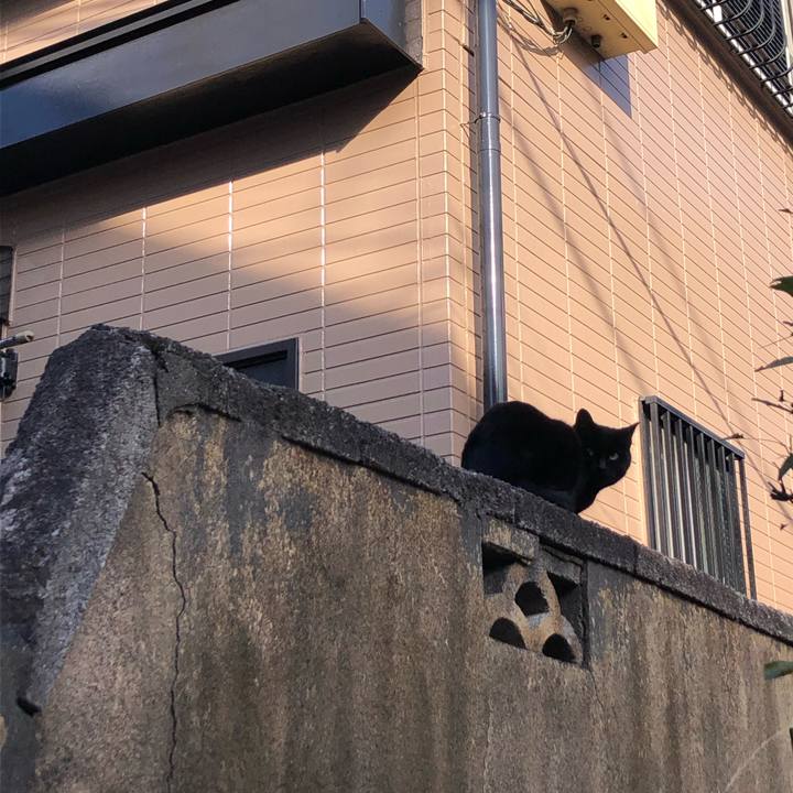 Afda8b7c 0719 4b88 9bac ac6184c06a12 1609366592777