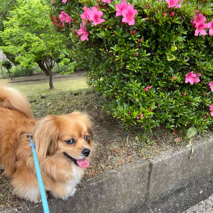 Afdab1e7 bc3a 48c1 9c4f e323ff8b1247 1590880489652