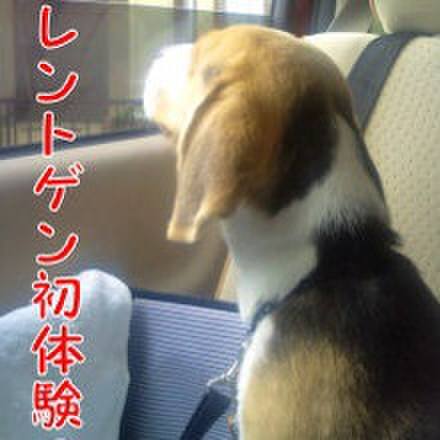 Afdab729 c1c4 49e0 9a9f df549c5d8996 1681615732436