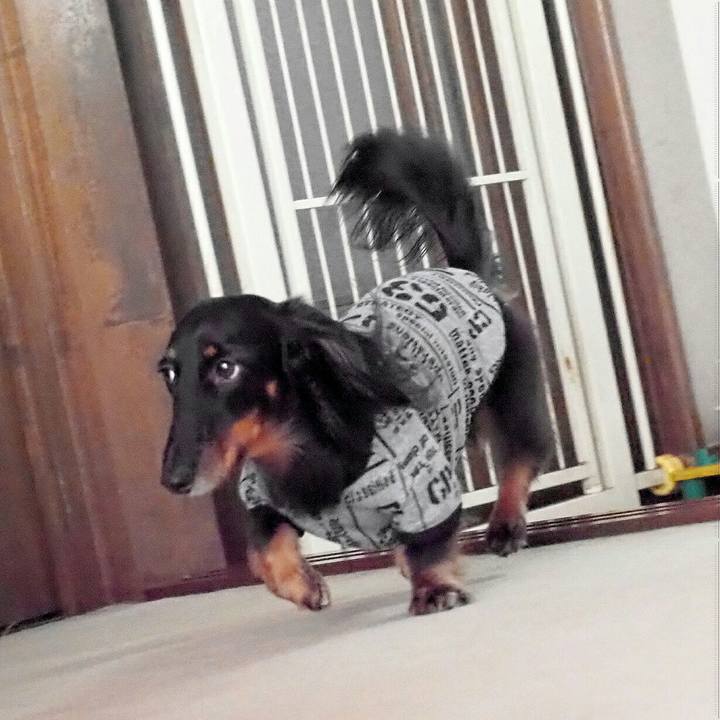 Afdab959 9bb9 463e aca8 e647e119c1de 1542848154818