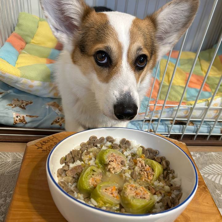 Afdae3ca f91b 42e7 b7b4 a42044aaeae4 1768741266409