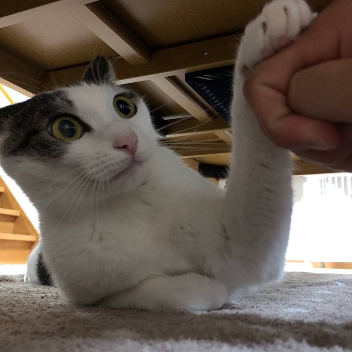 Afdb00b7 4360 4feb a6c7 0e894cb215c7 1605883554781