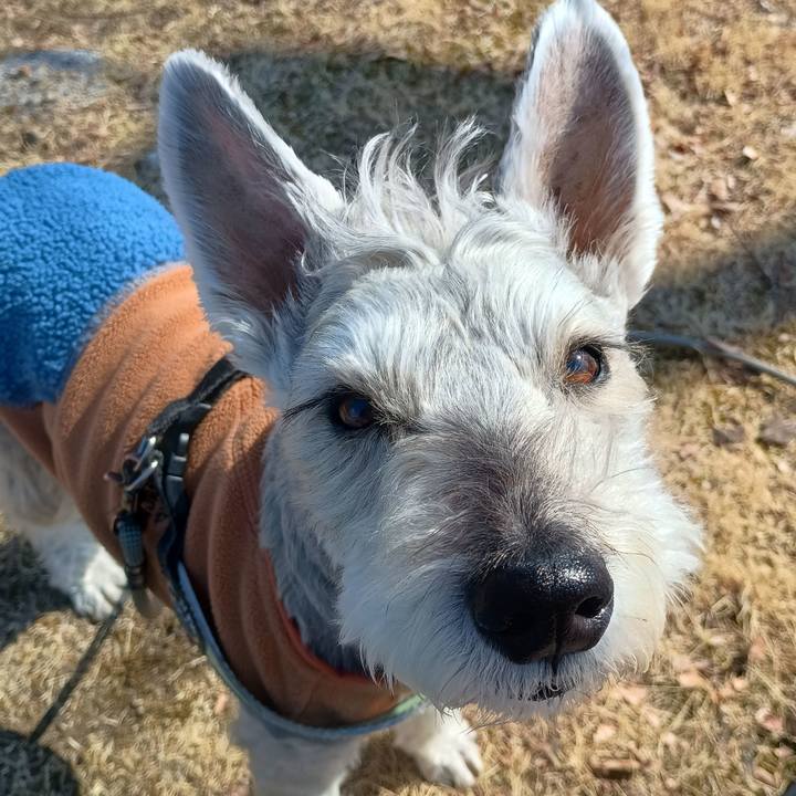 Afdb0381 8454 45db 9931 5afac7a92709 1771419616392