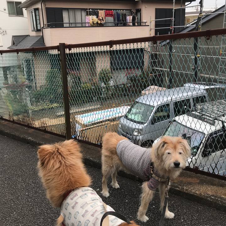 Afdb2e37 4fa3 4ccb 914d 67334c5b5e2c 1608961217657