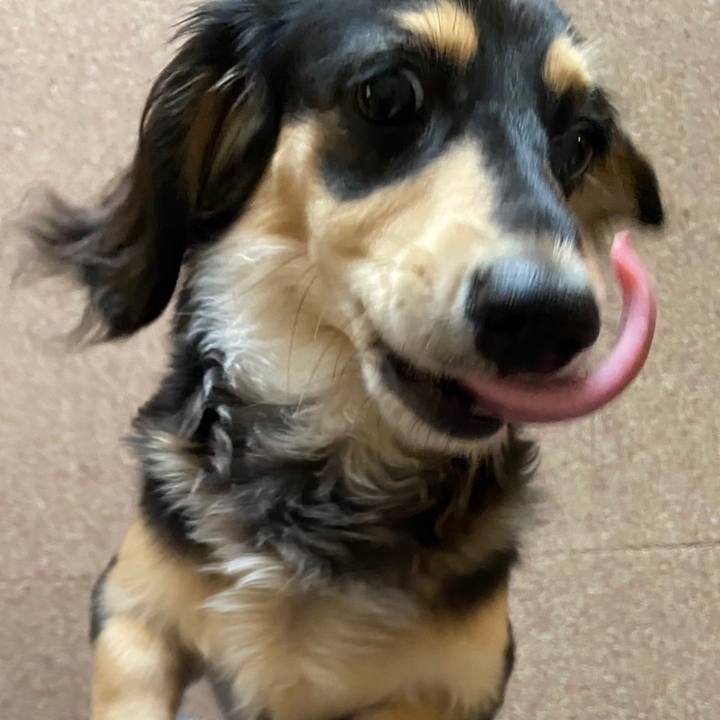 Afdb8ef6 f233 4ee2 aad0 ec73fd60e099 1677304550939