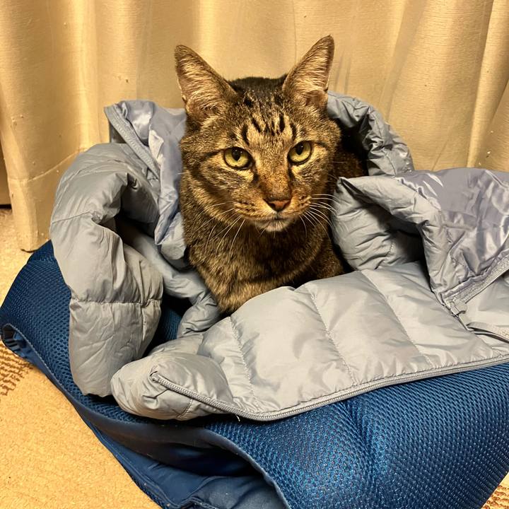 Afdba976 1716 4659 8f39 8d5d8516d8ea 1767447173597