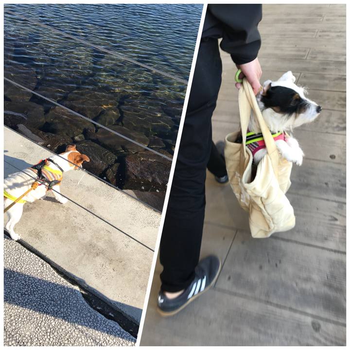 Afdbddc3 3ea6 4fc3 b3f6 a07f2fd1097b 1515840978517